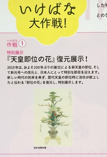 05D09E22-A8CA-45B2-AEE6-E9D33BAC25E5.jpeg