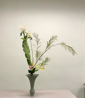 088603C5-7B11-4891-B0C6-66FD4B8CF5E2.jpeg