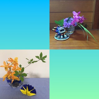 08B06C70-5ABC-45BF-86B6-8CFA1BF671D2.jpeg