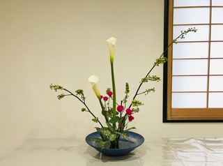 0A20F83E-F417-43FC-9E56-E0124F533F7E.jpeg