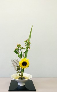 0D300671-A7AB-4669-B07C-73EC712DF4CA.jpeg