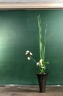 0FAA5D86-DCF6-48AC-9D6A-462BA6F20217.jpeg