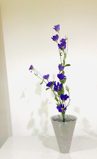 10A6D492-D2EB-4215-B8CF-58658DD298B0.jpeg