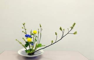 11FE6818-A70E-4301-8CCF-BD24EF7B681C.jpeg