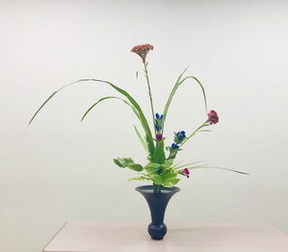 13D7BA33-92DF-4678-8B7C-62ABD57F1320.jpeg