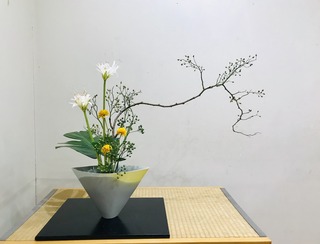 16EB163C-9E2E-41A1-A8E1-27A0803FFA7F.jpeg