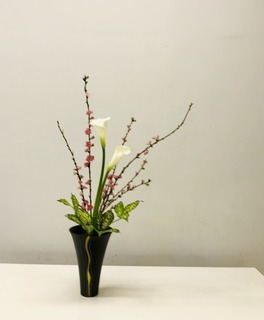 17DF261D-B6EB-4AD4-9AEB-EA387C1C0964.jpeg