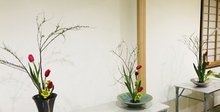 1B75B976-450D-4E10-8890-7D25C2A4B195.jpeg