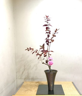 1D84D56E-A8EB-4B15-915D-03907A7E2100.jpeg