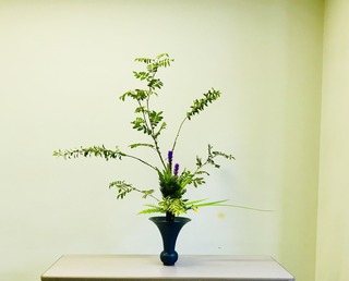 1FD4806F-6D36-4D65-BCCE-409E25321E03.jpeg