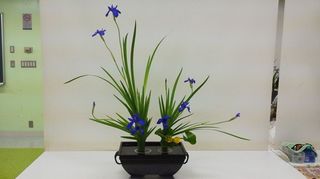 2012071014260000-3.jpg