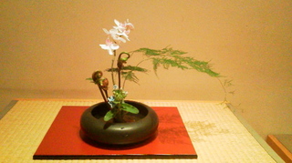 2013013118020000.jpg