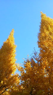 2013112409190000.jpg