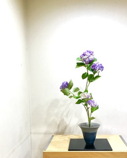 2B2DD55E-5E04-478D-B638-C3D1D671CE72.jpeg