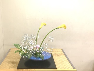 35C9D9DE-E180-49C0-92F4-D6FEC22FF4E9.jpeg