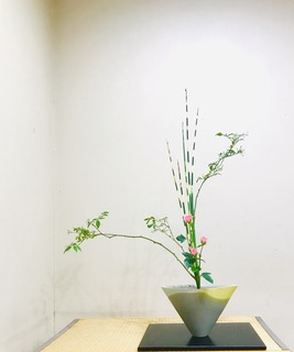 38C71229-5338-4659-AE94-DF4E0CBC0D5C.jpeg
