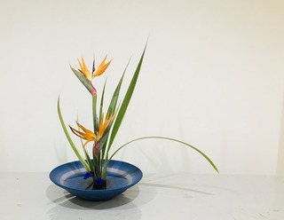 38ED3B6A-60CA-400E-A94D-3A8DB0DDA517.jpeg