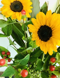 3A2918AC-6AF9-4F5F-9962-F7901A27DC67.jpeg