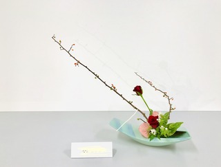 3C2D6A26-55AC-47C7-AA51-DDD03DD18600.jpeg