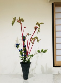 3D16EE05-1926-4763-A99D-2FD07052988D.jpeg