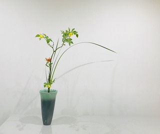 3F4ADF64-1D4A-4B7A-91EE-F88F838DAC25.jpeg