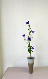 40EE30C4-E23B-4342-81F7-30695E609A5D.jpeg