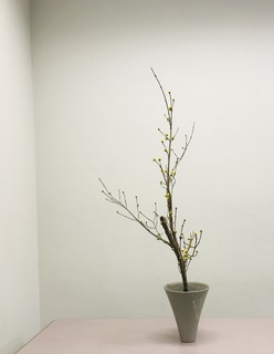 425E08A0-58BB-4515-A7F8-ABB3D401770D.jpeg