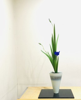4B59AB6B-1E40-4F48-B141-445C9390759B.jpeg