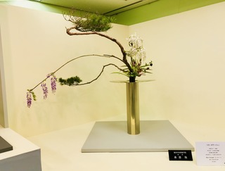 4D0712EA-ED8C-4C67-A474-7AD209A8020B.jpeg