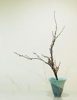 538FFE82-A594-49C6-869C-D70303F9539F.jpeg