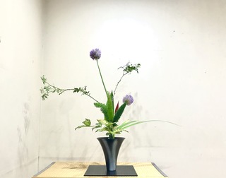 53F860AD-36E3-4098-9913-FB23DDB789B5.jpeg