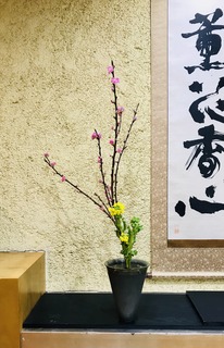558C6826-37D7-47F2-93E0-26C950A45063.jpeg