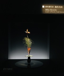 55A10A72-03CB-4CDA-AD74-50EA5C1CCB7B.jpeg
