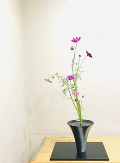 5D31C712-FA7E-42CE-B4A8-36672969752D.jpeg