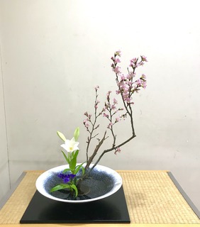 5D613268-13ED-4507-A84C-64A87F4D78B1.jpeg