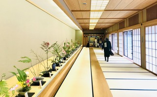 5D7E3376-6C9D-4AEC-8C16-DF00C2DCC797.jpeg