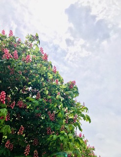 63E8B2D2-7944-4642-B2C9-03CE5F5AD260.jpeg