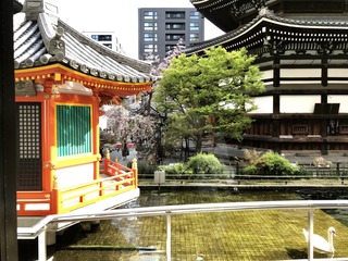650DCCFD-8D3B-4D46-B1A1-A6F796C447F4.jpeg