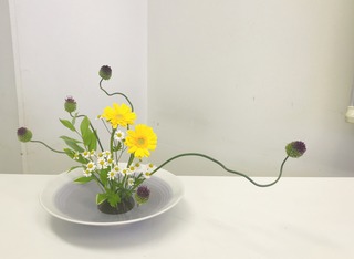 69761AB3-6B34-4A5D-BB03-47B049901B61.jpeg