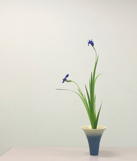 6979EC83-F01B-4480-BA4C-50593FD0F8F3.jpeg