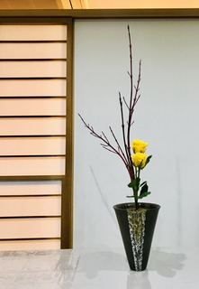 7130AB43-7F80-404B-B288-F2831D8DDC18.jpeg