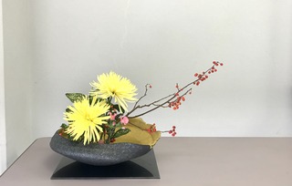 74F52310-D298-4837-BDB6-B8ABEF1483AC.jpeg