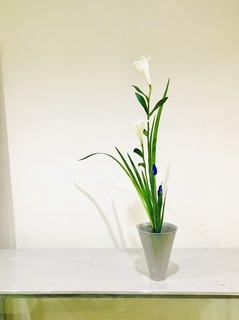 752AA102-AE52-4D55-A5F0-F9BD97F57C6C.jpeg