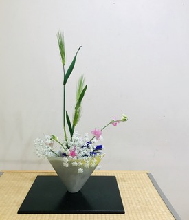 7AE3858E-7184-48FC-A083-E3E87C75D70A.jpeg
