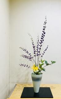 7B71064E-9D8A-49B3-A841-400BB54487EC.jpeg