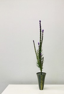 7BCFA375-5773-4CAE-A65B-E3A3C82522D7.jpeg