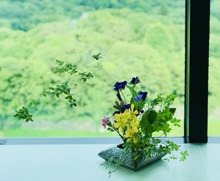 7DFEC7E8-15DD-40FD-B275-206ED33B3BED.jpeg