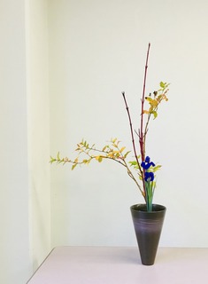 8380DB63-4FAC-42AF-8770-D169B7358F40.jpeg