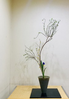 84F43212-9535-4868-8400-3FAE01186064.jpeg
