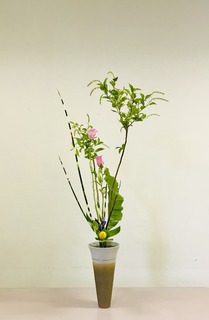 85098227-E1B9-4FFF-A535-B01F26D0ED6B.jpeg